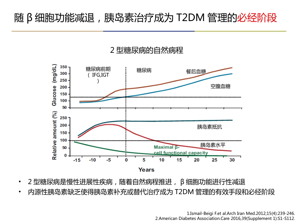 糖尿病基础胰岛素专家建议解读_第3页