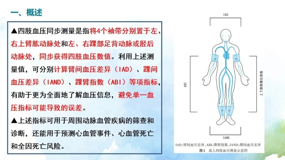 成人四肢血压测量的中国专家共识(2021)解读_第3页