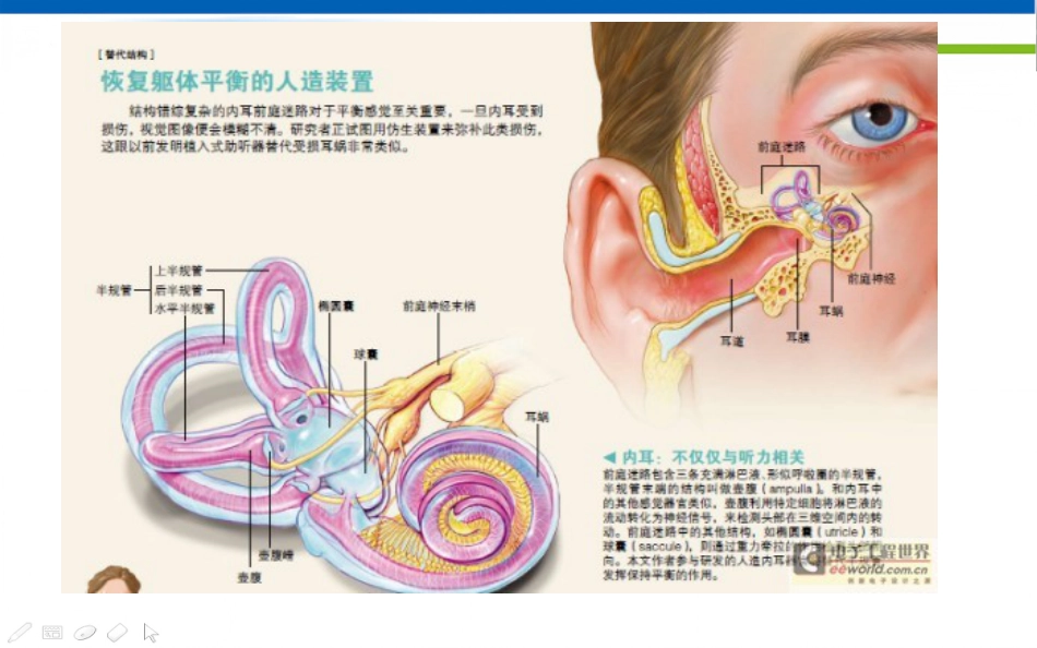 眩晕诊治的专家共识_第10页