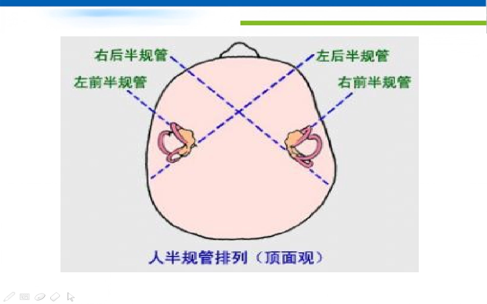眩晕诊治的专家共识_第11页