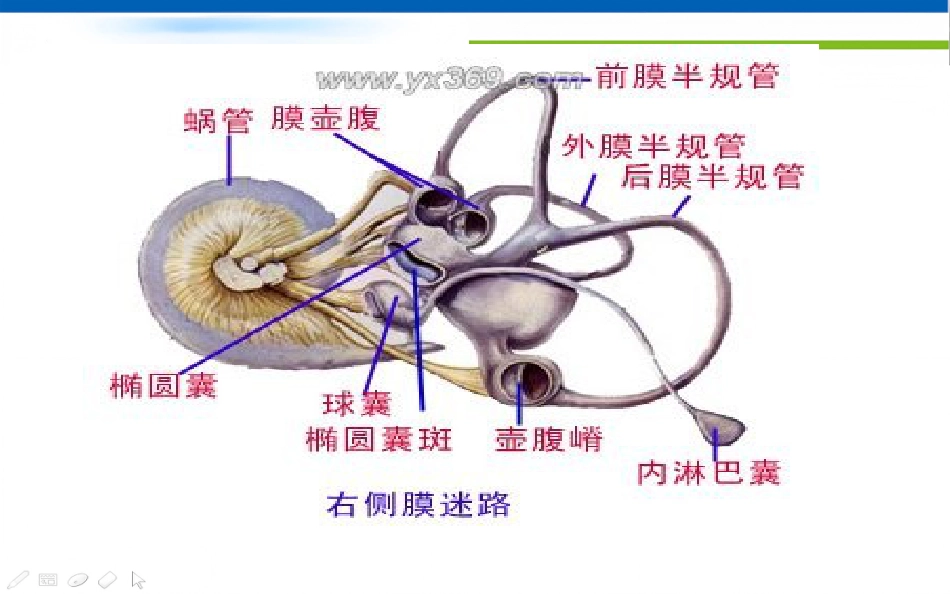 眩晕诊治的专家共识_第12页