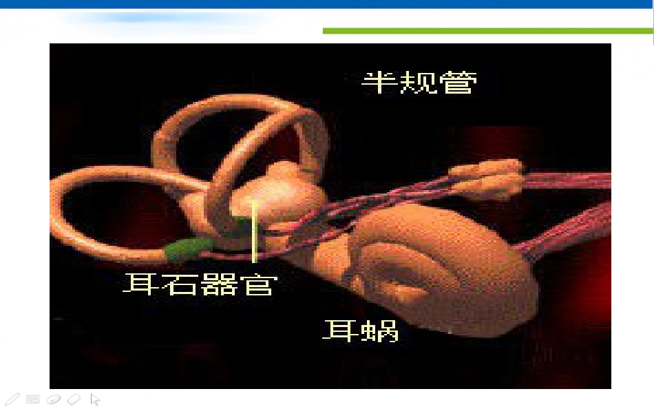 眩晕诊治的专家共识_第13页