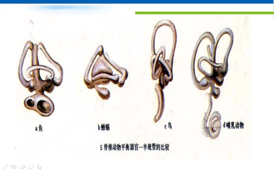 眩晕诊治的专家共识_第14页