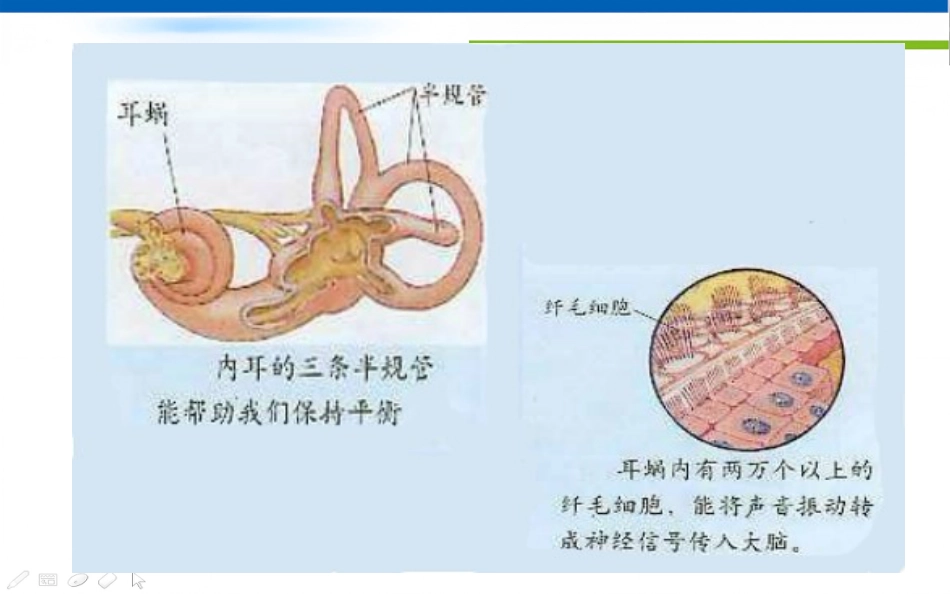 眩晕诊治的专家共识_第15页