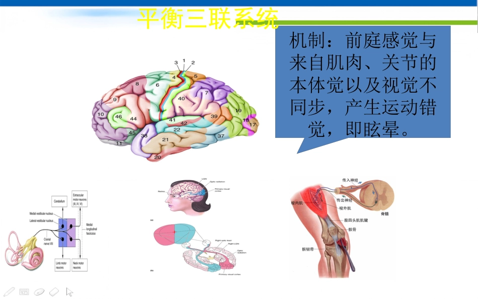 眩晕诊治的专家共识_第4页