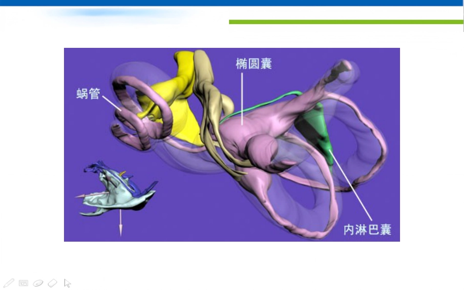 眩晕诊治的专家共识_第7页
