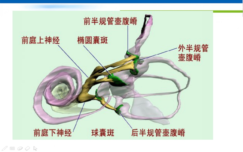 眩晕诊治的专家共识_第8页