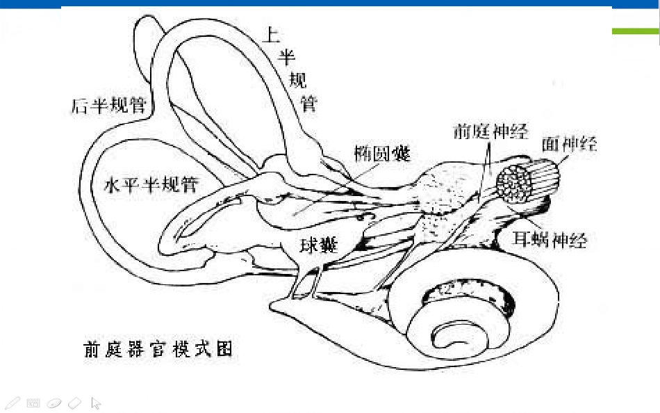 眩晕诊治的专家共识_第9页