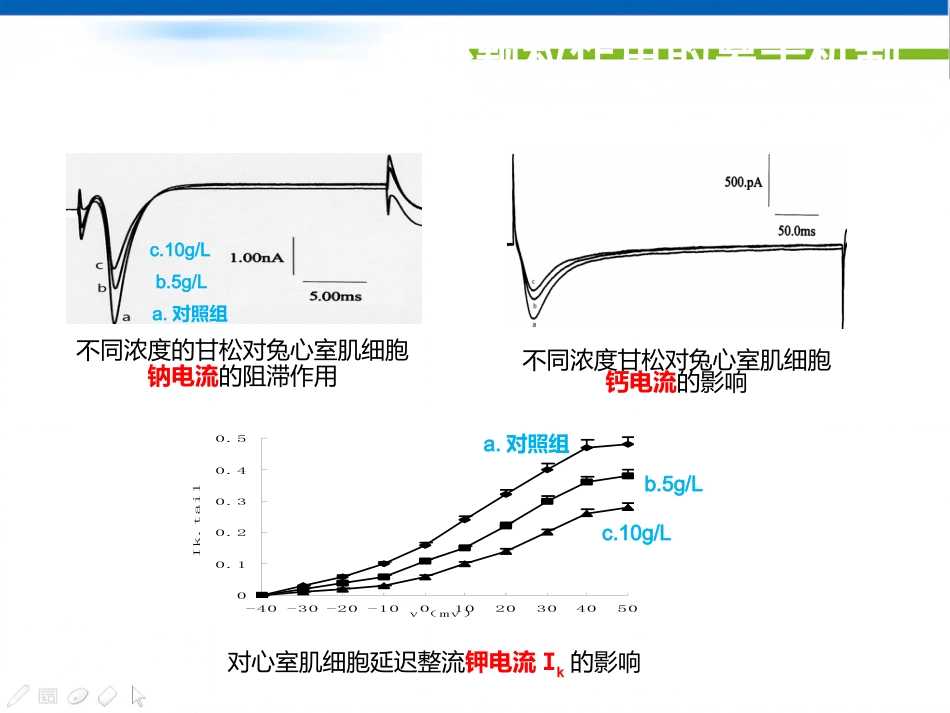稳心颗粒治疗心律共识失常专家(最终版)_第10页