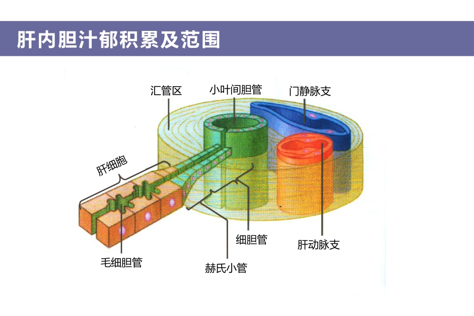 2015年胆汁淤积性肝病诊治专家共识 定稿_第6页