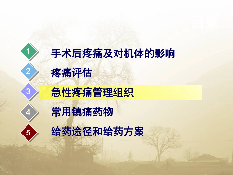 术后疼痛专家共识_第13页
