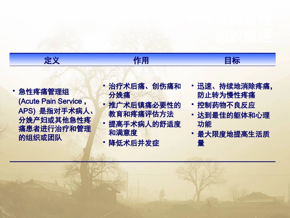 术后疼痛专家共识_第14页