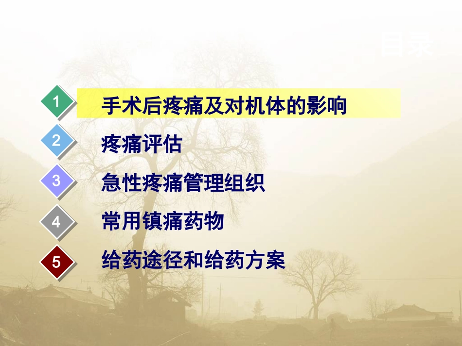 术后疼痛专家共识_第3页
