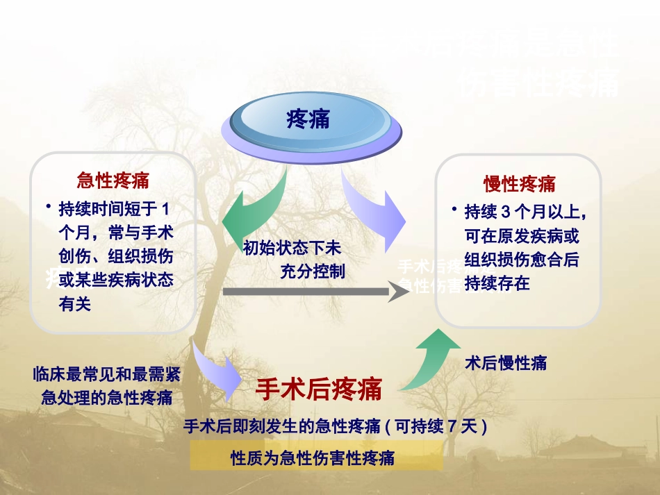 术后疼痛专家共识_第4页