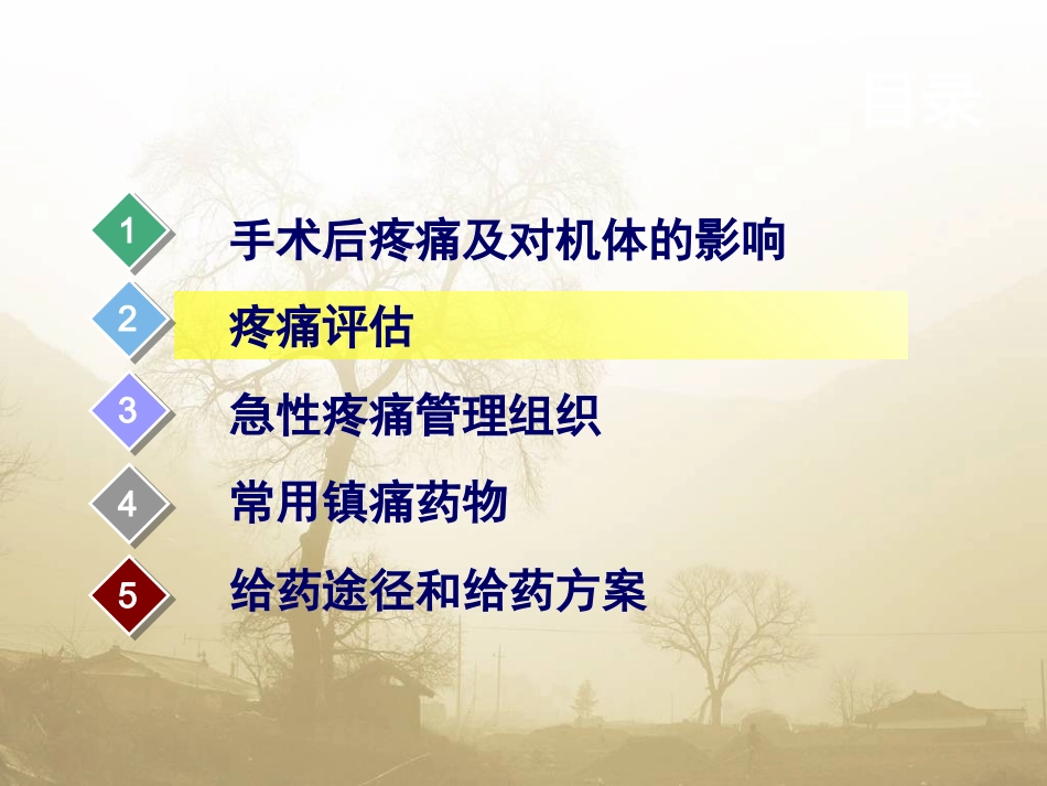 术后疼痛专家共识_第6页