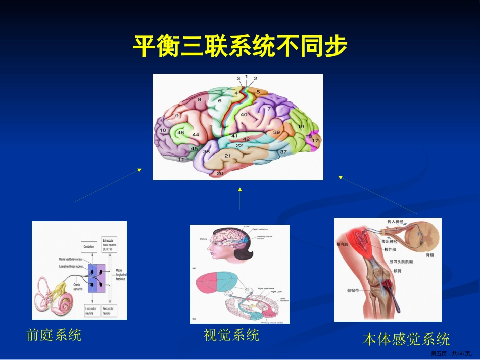眩晕规范化治疗专家共识_第5页