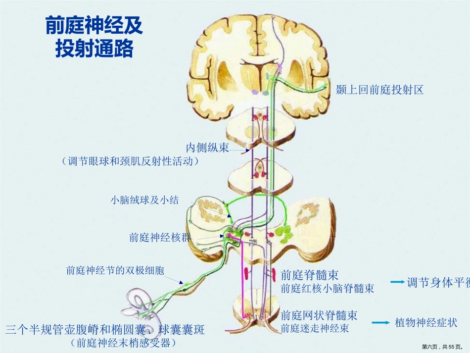 眩晕规范化治疗专家共识_第6页