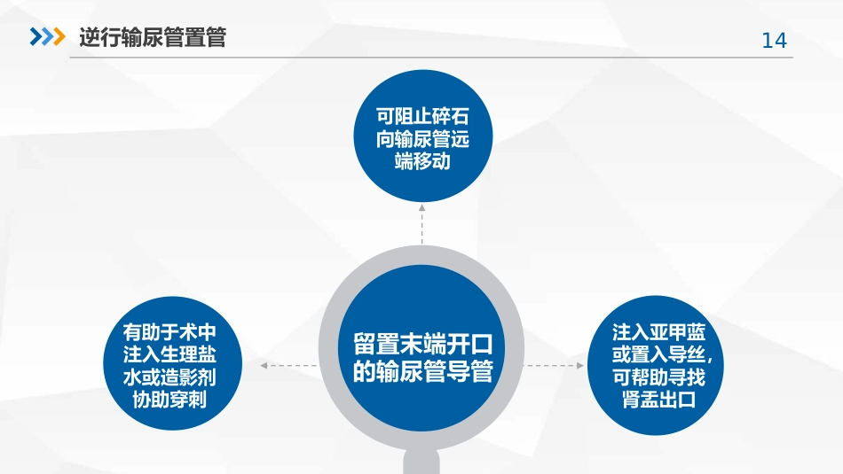 经皮肾镜取石术专家共识_第14页