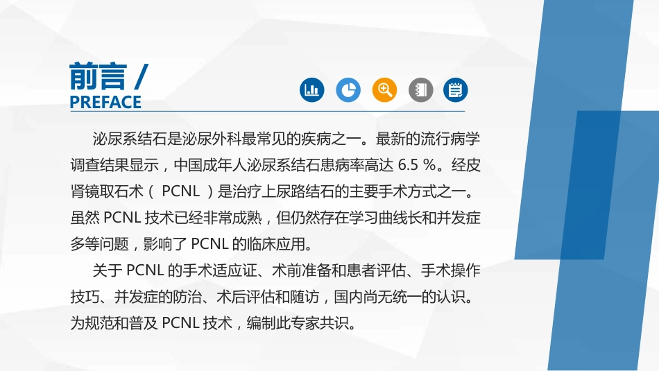 经皮肾镜取石术专家共识_第2页