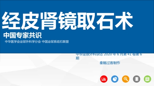 经皮肾镜取石术专家共识