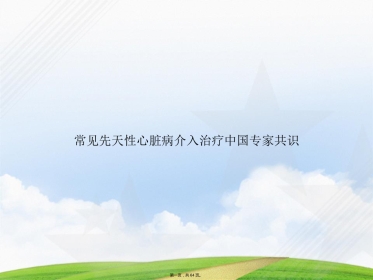 常见先天性心脏病介入治疗中国专家共识讲课