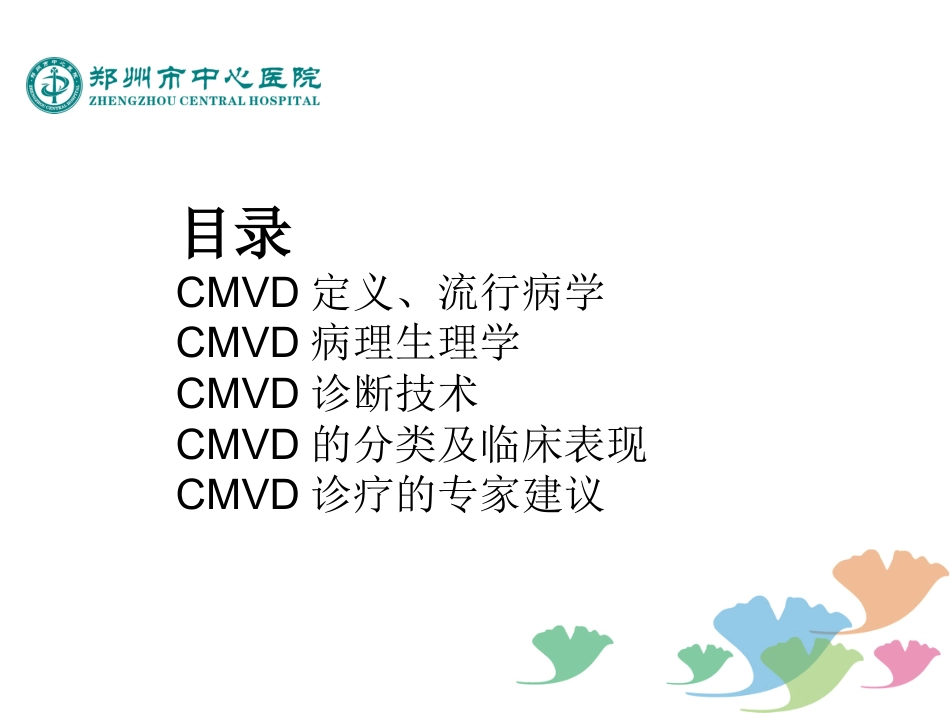 冠状动脉微血管疾病诊断和治疗的中国专家共识_第2页
