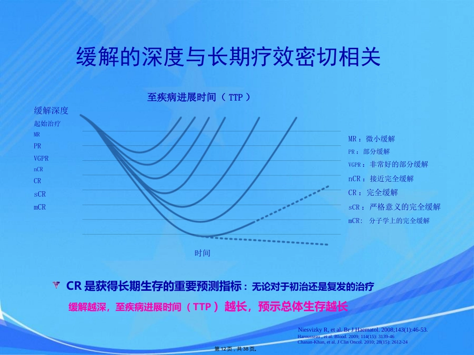 脂质体阿霉素专家共识会议_第12页
