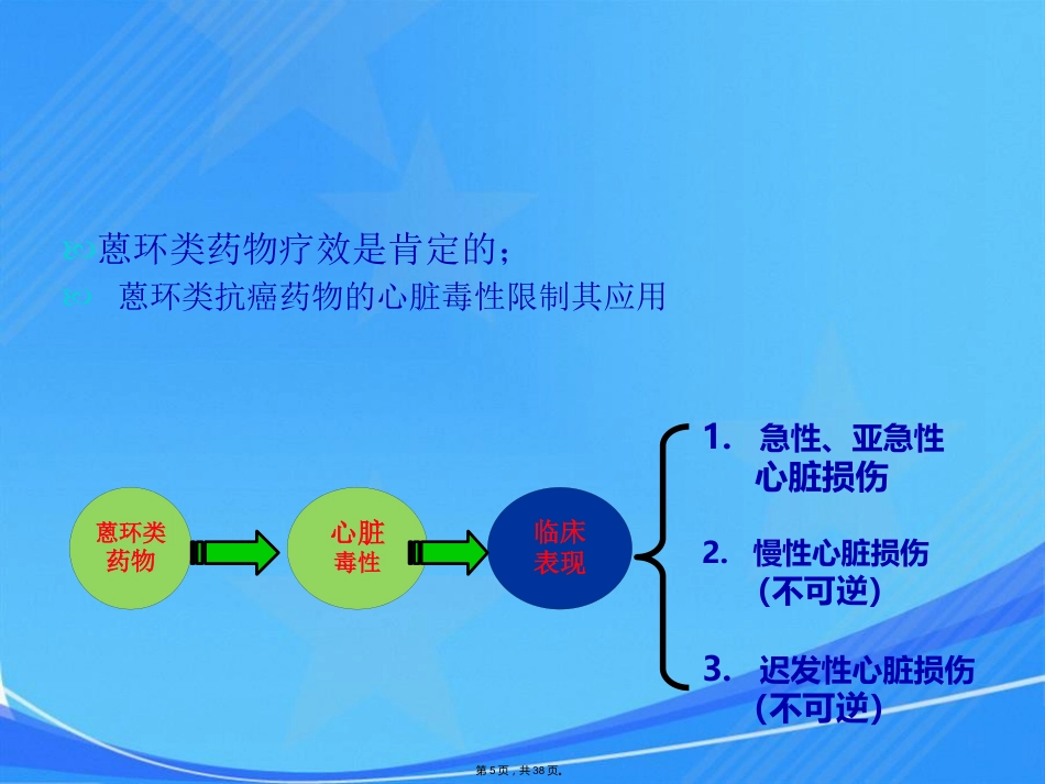 脂质体阿霉素专家共识会议_第5页