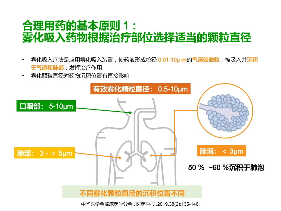 雾化吸入合理用药专家共识解读_第11页