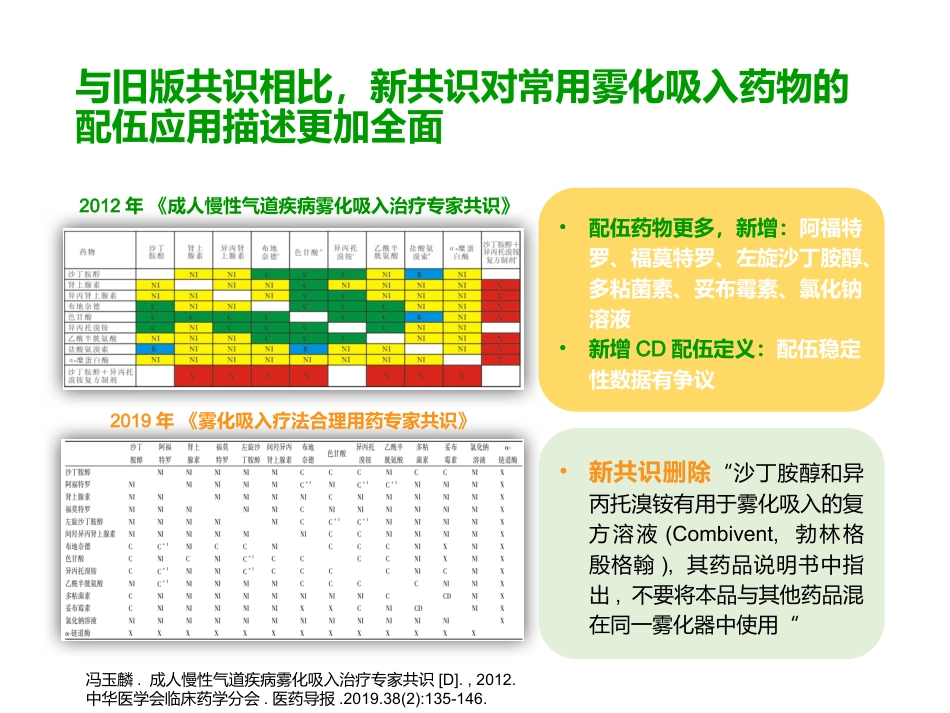 雾化吸入合理用药专家共识解读_第15页