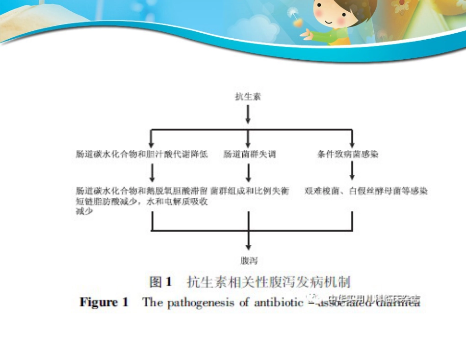 版儿童抗生素相关性腹泻诊断治疗和预防专家共识_第13页
