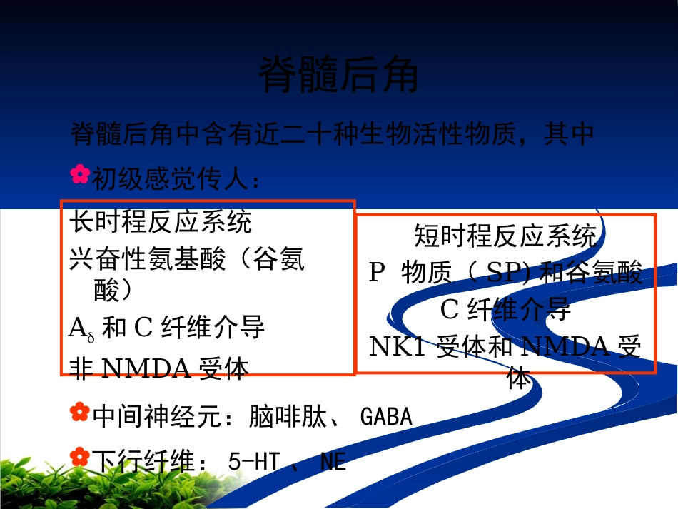 神经病理性疼痛专家共识解读ppt课件_第10页