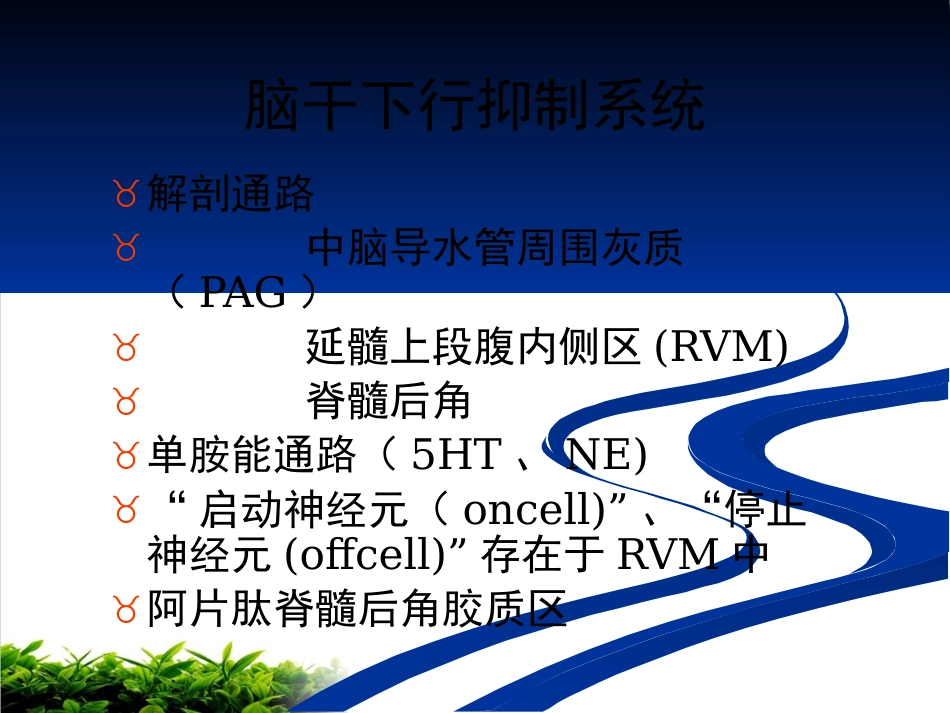 神经病理性疼痛专家共识解读ppt课件_第12页
