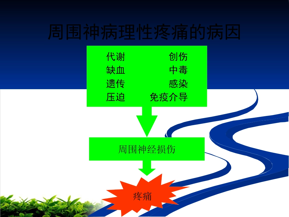 神经病理性疼痛专家共识解读ppt课件_第13页