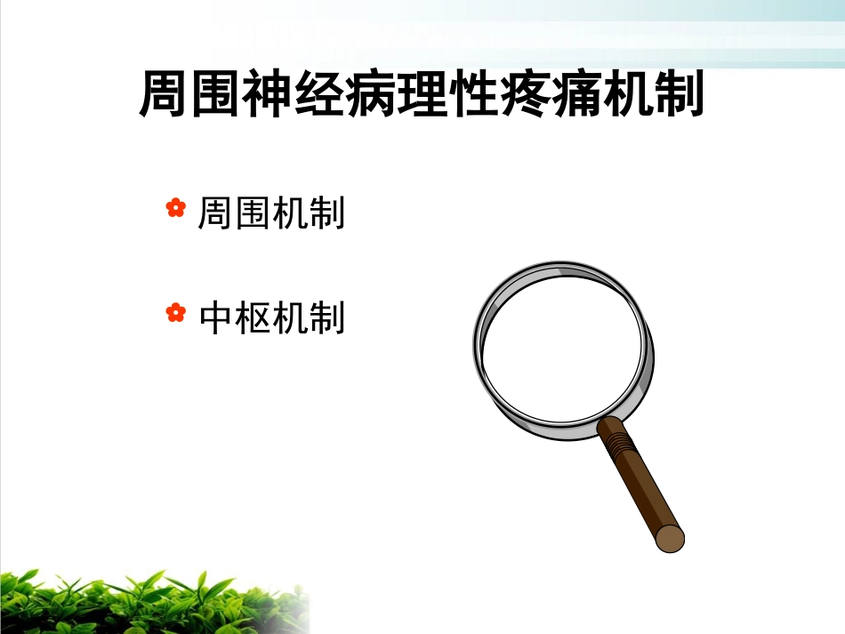 神经病理性疼痛专家共识解读ppt课件_第15页