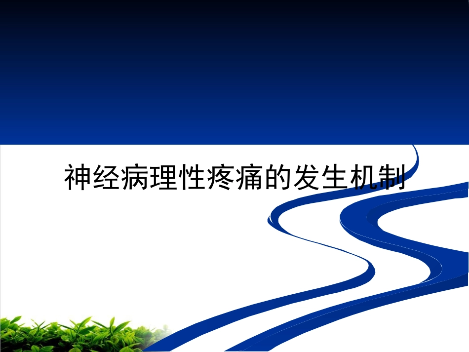 神经病理性疼痛专家共识解读ppt课件_第6页