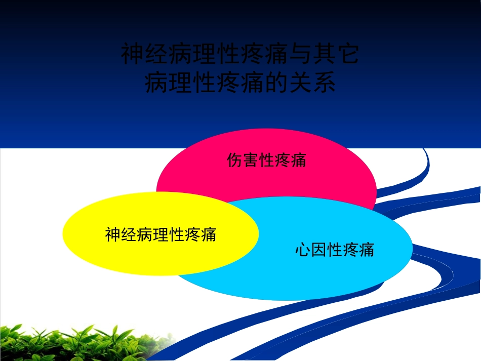 神经病理性疼痛专家共识解读ppt课件_第7页