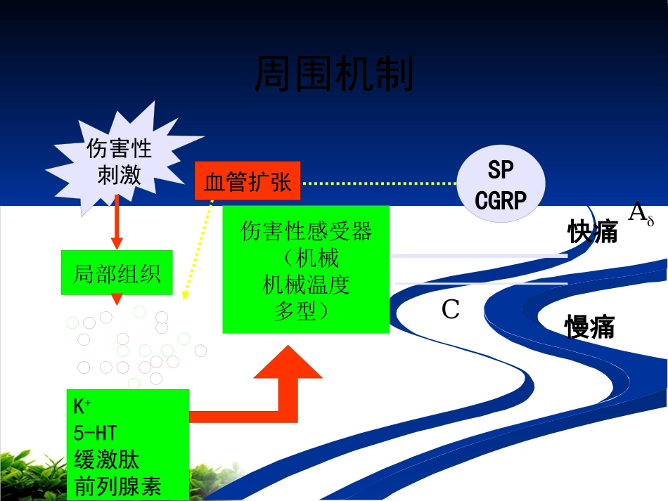 神经病理性疼痛专家共识解读ppt课件_第9页