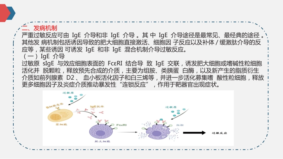 《严重过敏反应诊断和临床管理专家共识》(2025)_第13页