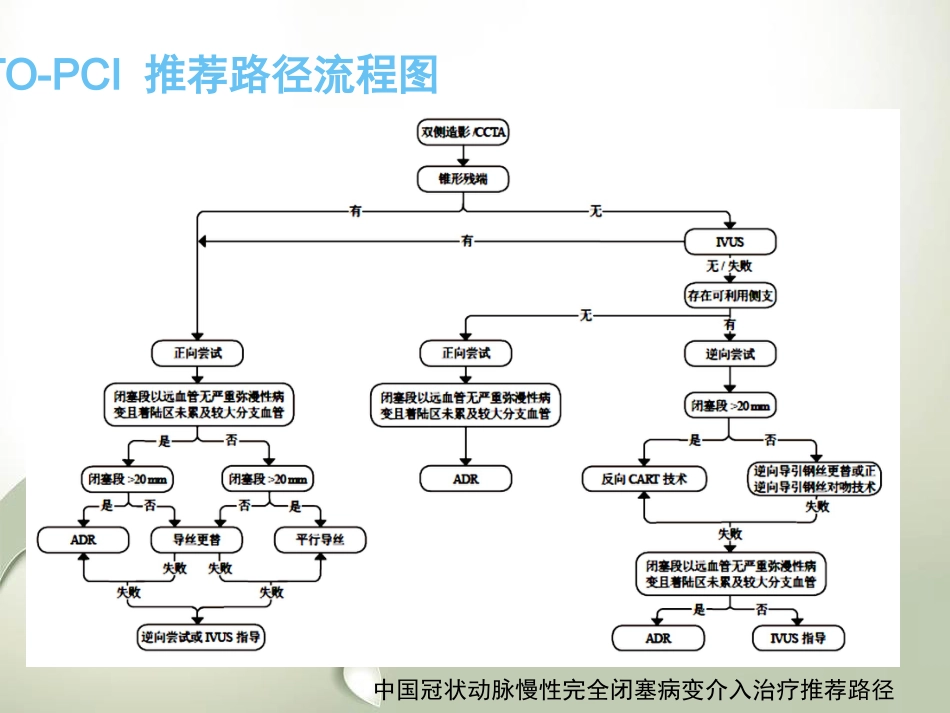 CTO介入治疗处理流程与最新专家共识_第7页