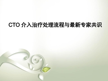 CTO介入治疗处理流程与最新专家共识