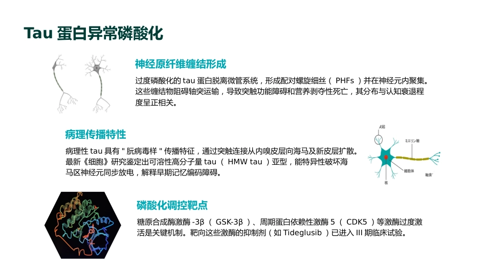 阿尔茨海默病疾病修饰治疗专家共识(2025版)解读PPT课件_第10页