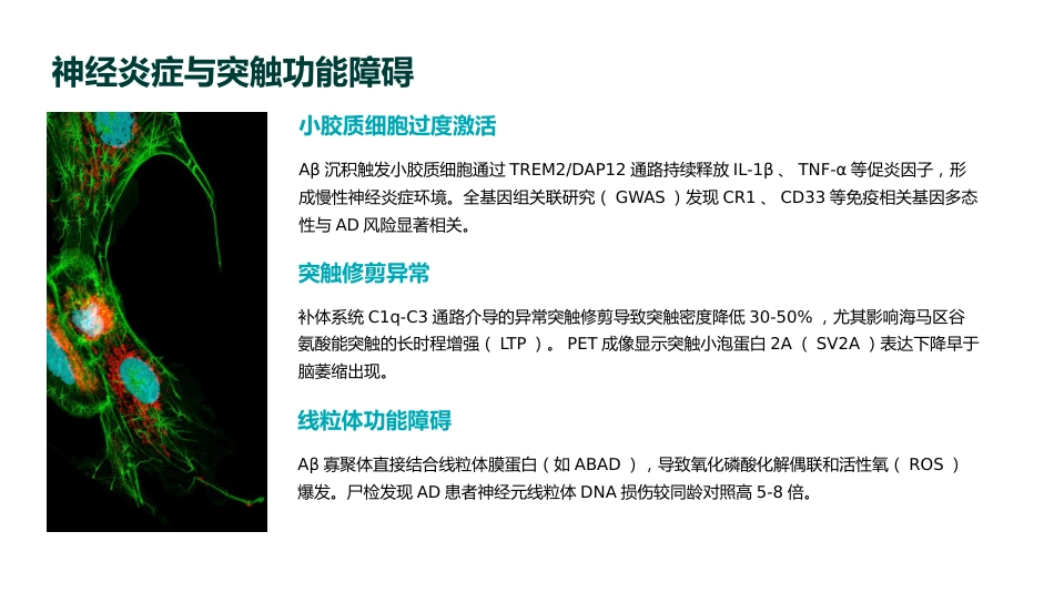 阿尔茨海默病疾病修饰治疗专家共识(2025版)解读PPT课件_第11页