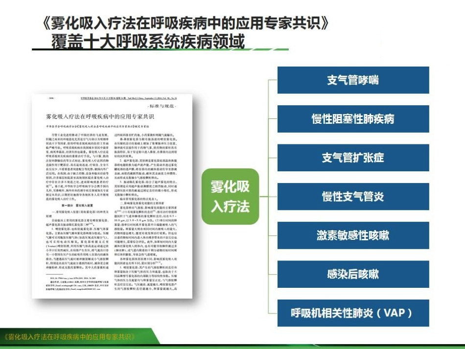 雾化吸入疗法在呼吸疾病中的应用专家共识_第15页