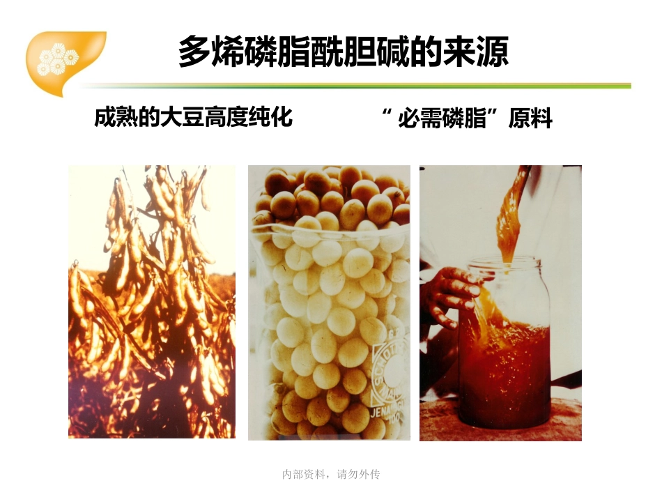 多烯磷脂酰胆碱在肝病临床应用专家共识_第5页