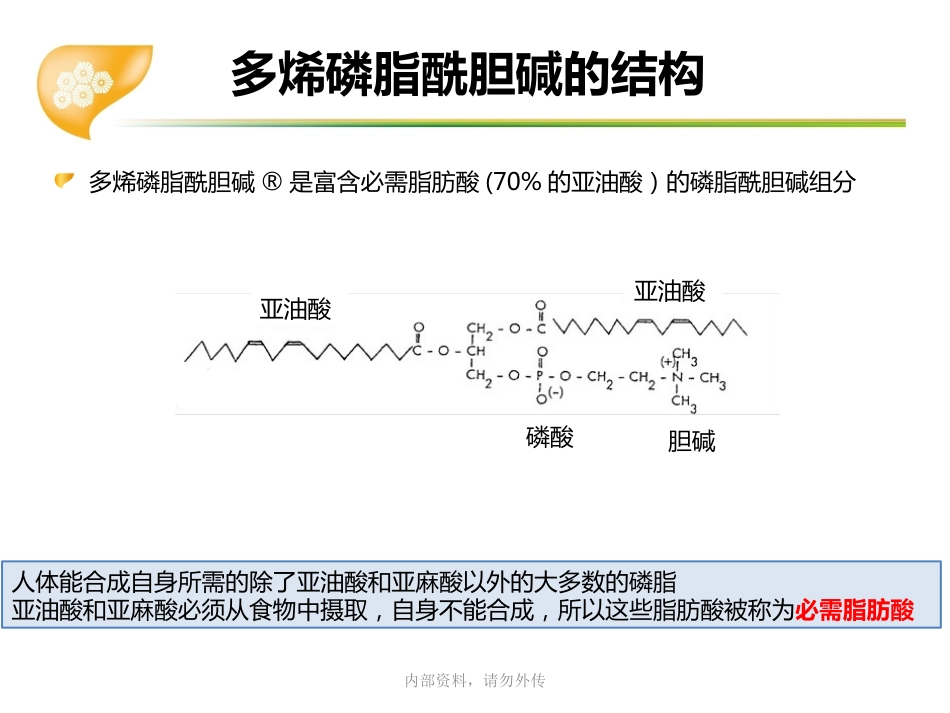 多烯磷脂酰胆碱在肝病临床应用专家共识_第6页