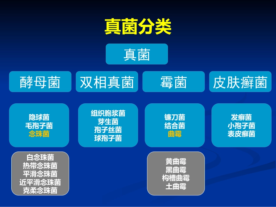 肺部真菌病诊断和治疗专家共识_第11页