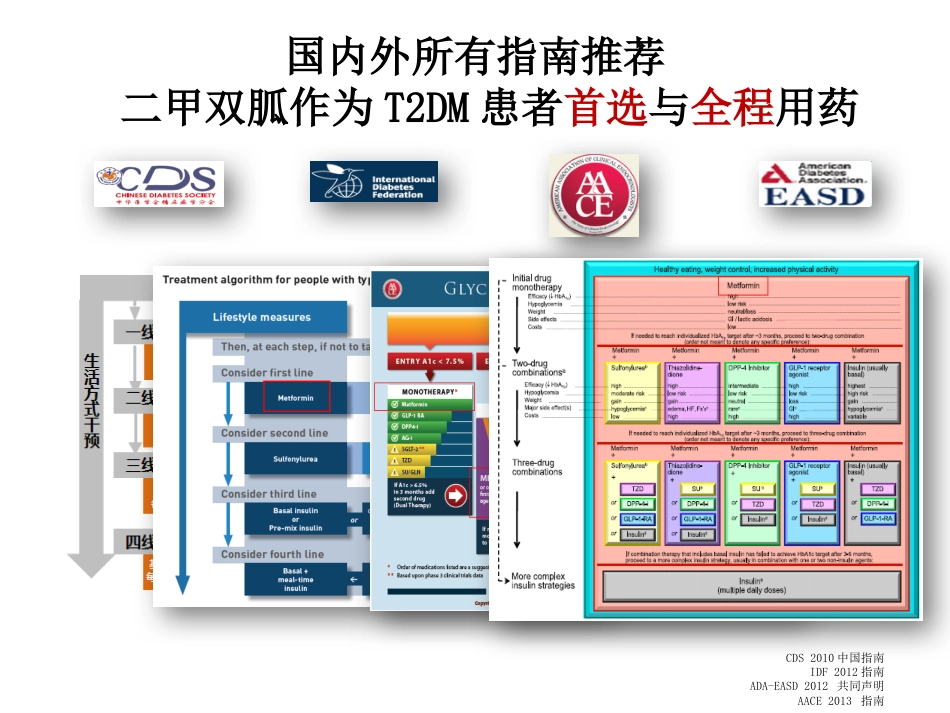 《二甲双胍临床应用专家共识》解读_第12页