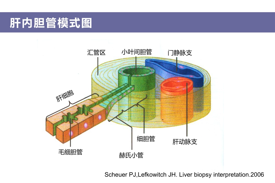 胆汁淤积和自身免疫性肝病诊治专家共识_第9页