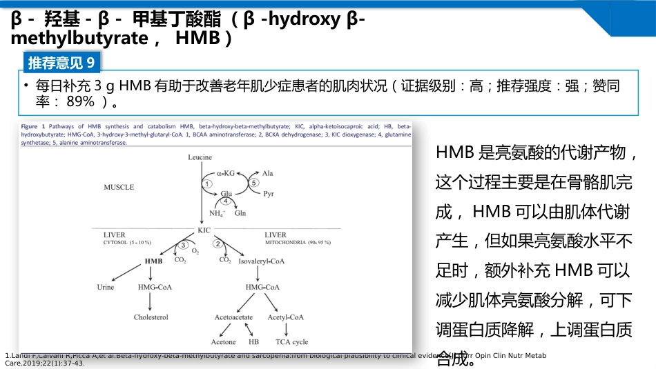 肌少症及合并慢性疾病患者的医学营养管理及运动干预专家共识2024版_第13页
